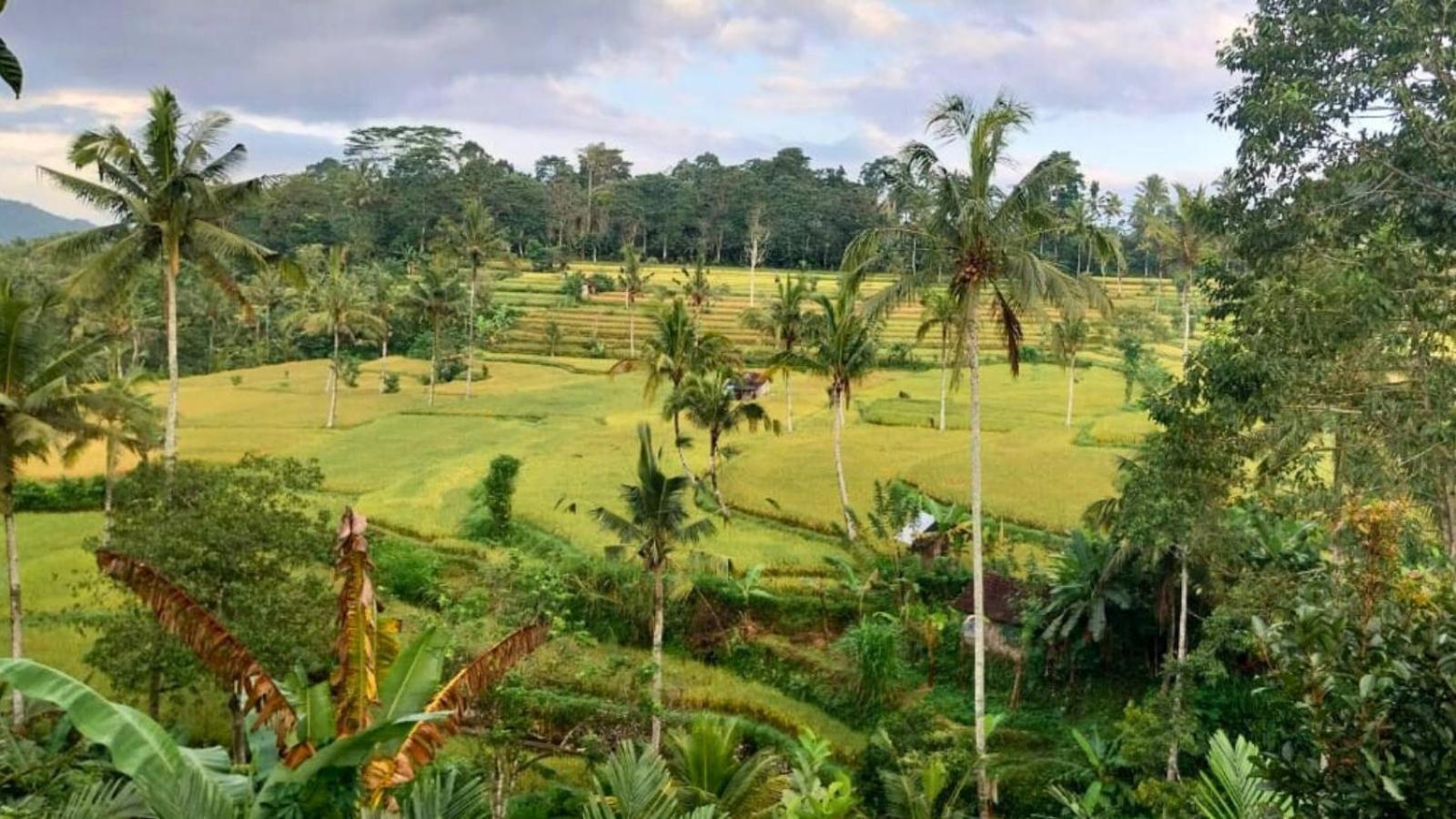 Pondok Sapta Sallaca Selat Экстерьер фото